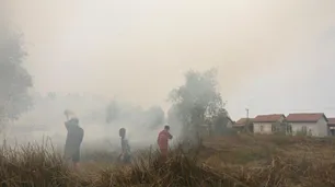 El fenómeno silencioso que causó 3 millones de muertes entre 2016 y 2023