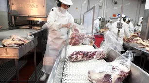Cuestionamientos hacia la CRA por su apoyo a la plataforma VISEC Carne: “El punto, con todo respeto, está errado”