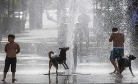 El calor extremo provocó 710 mil muertes en un año y crece la alerta sanitaria mundial