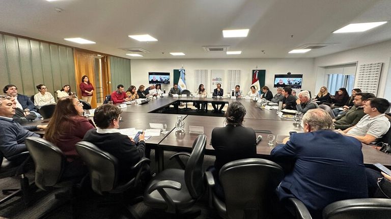 En reunión de comisión por la ley contra naranjitas ilegales