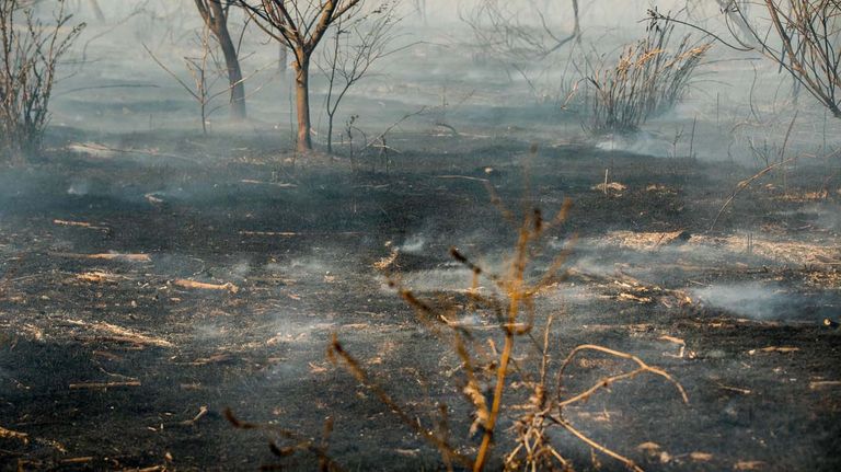 Incendios en Argentina | Crédito: Greenpeace.