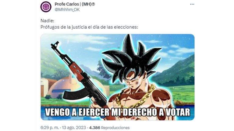 Memes de las PASO