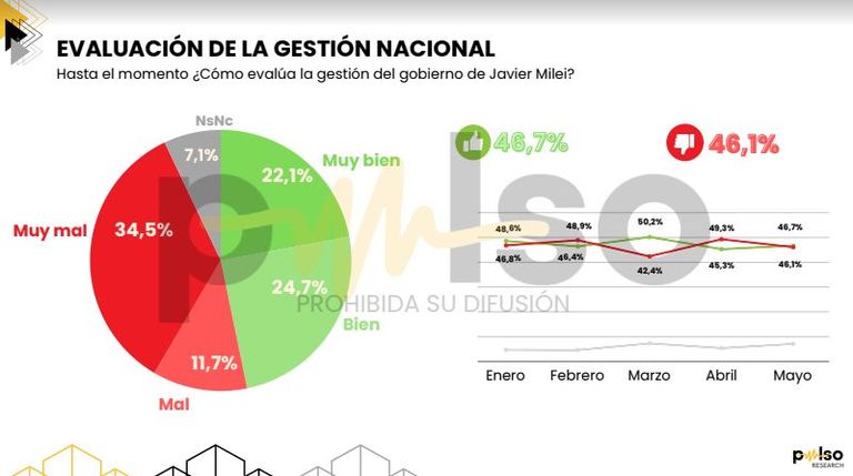 29-5-2024-Encuesta Pulso