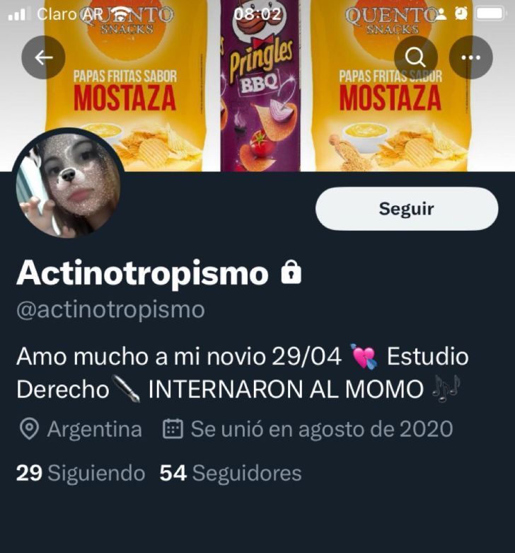 Perfil IG