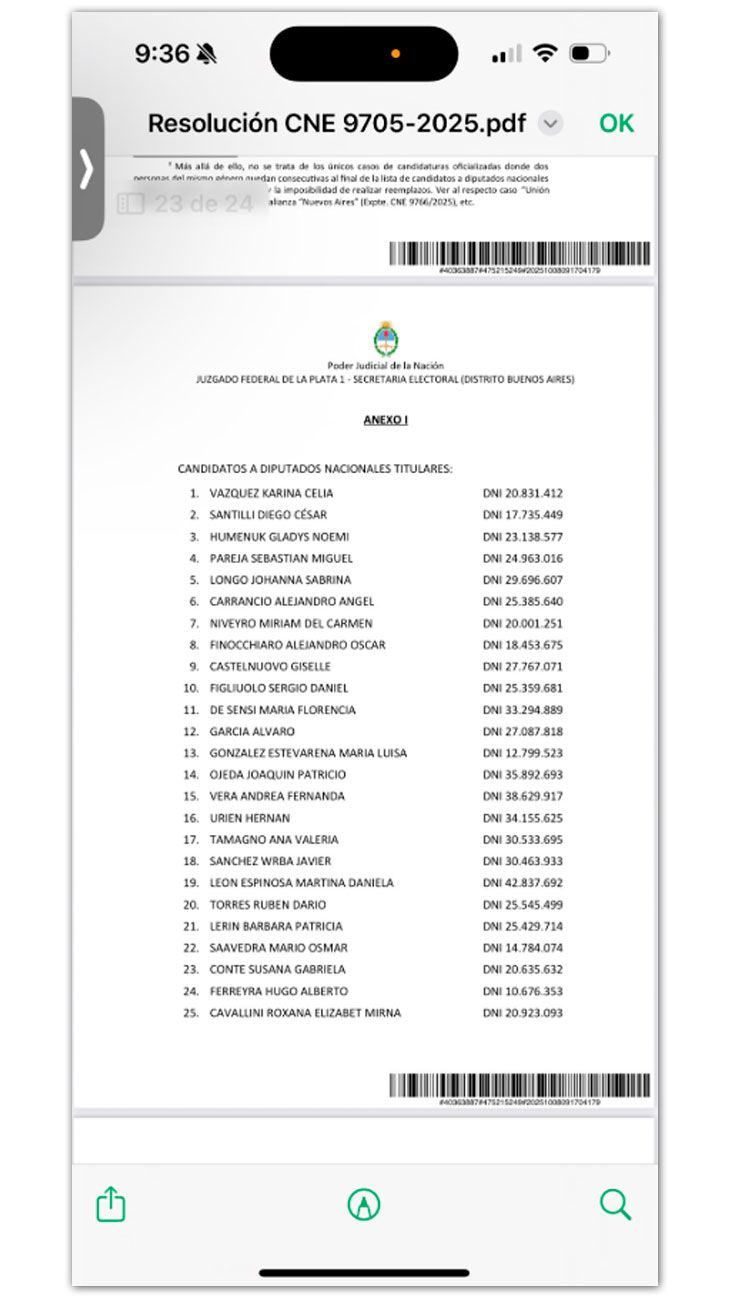 Resolucion Judicial 08102025