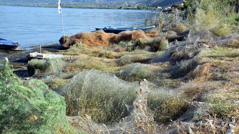 lago-grecia-telaraña