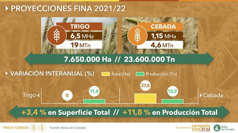 Estimaciones campaña de trigo 2020/21