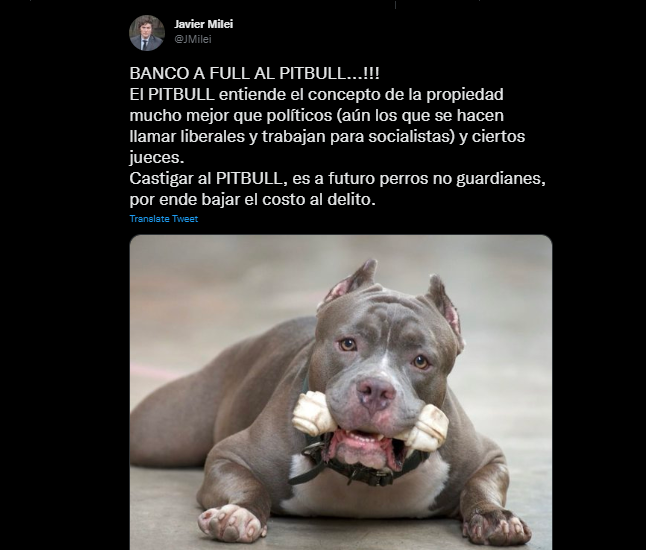 Milei tweet pitbull