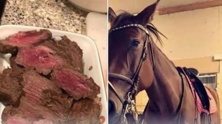 carne caballo 10102019
