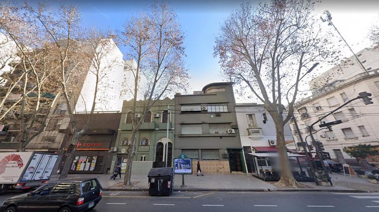 Plátanos en la Ciudad de Buenos Aires 20221019