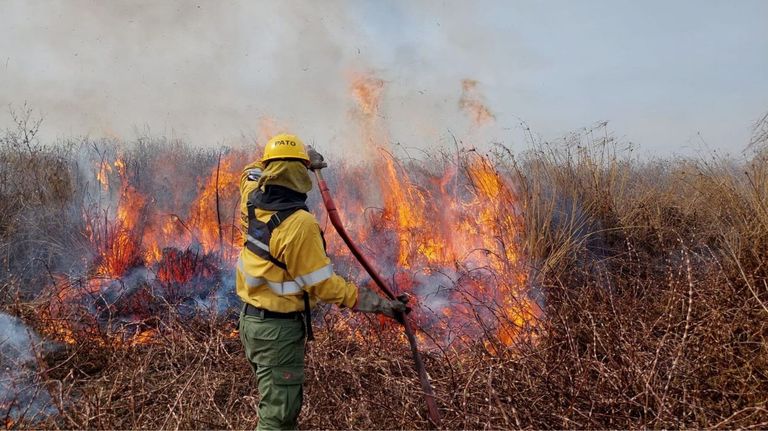 incendio rosario