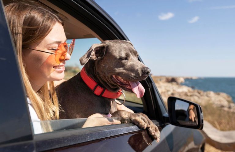 Viajar con mascotas