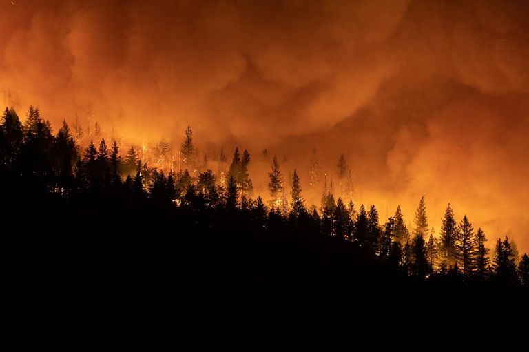 incendio dixie california