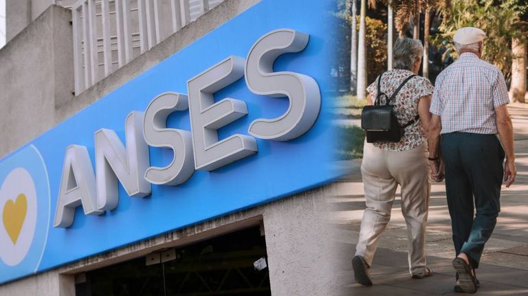 Anses