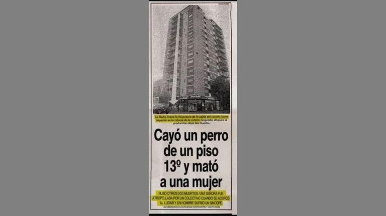 Accidente con Caniche 20221021