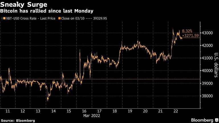 Bitcoin has rallied since last Monday