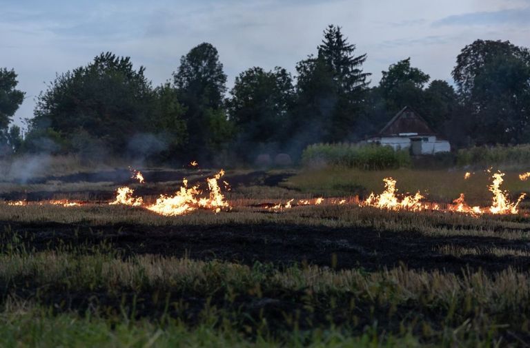 Fuego al aire libre