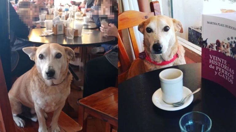 Corchito