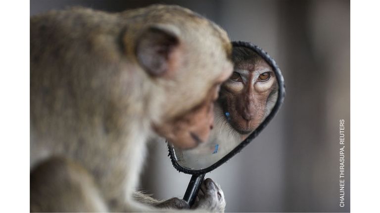 World Press Photo Contest