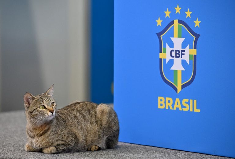 Vinicius 20221207
