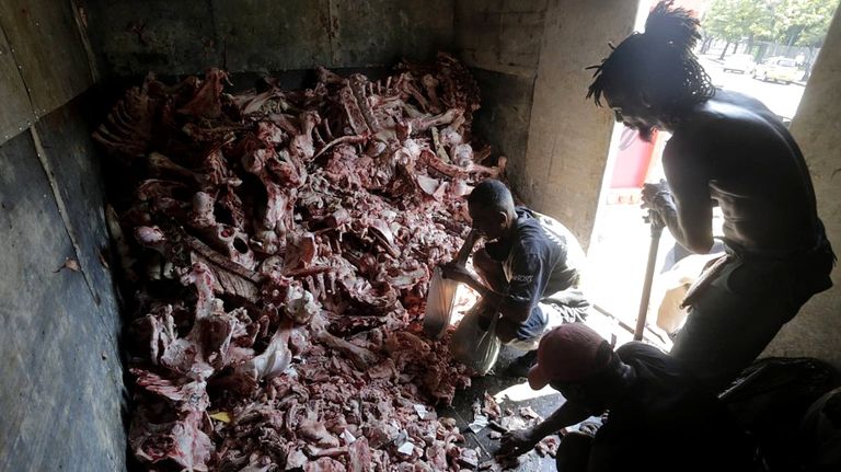 brasil hambre