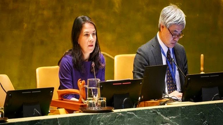 Asamblea General de la ONU