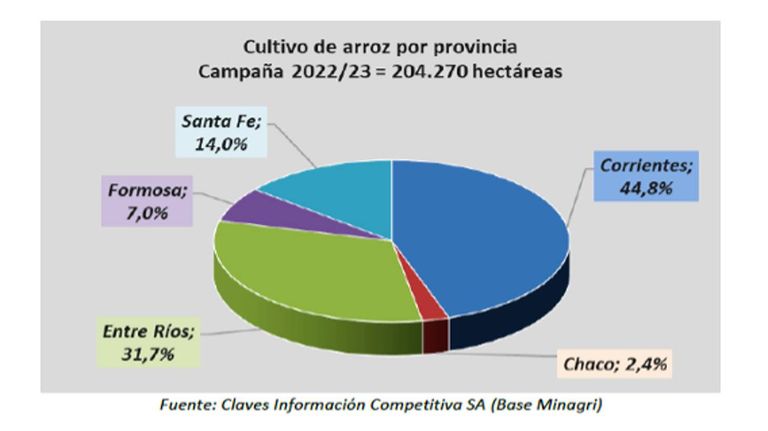 Producción de arroz 20221223