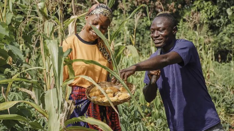 África