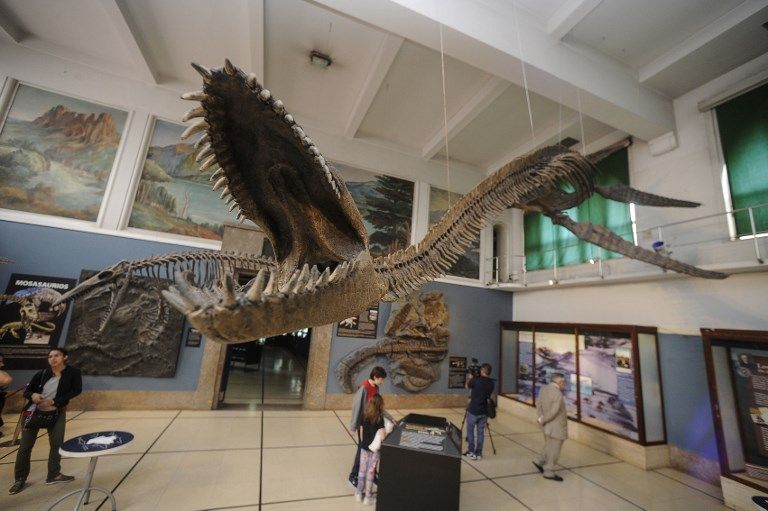 dinosaurio marino calafate afp