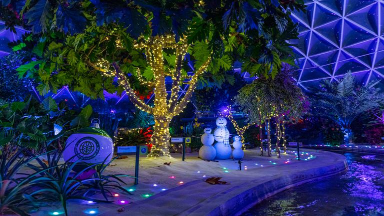 Disney Epcot Navidad 2023 20231213