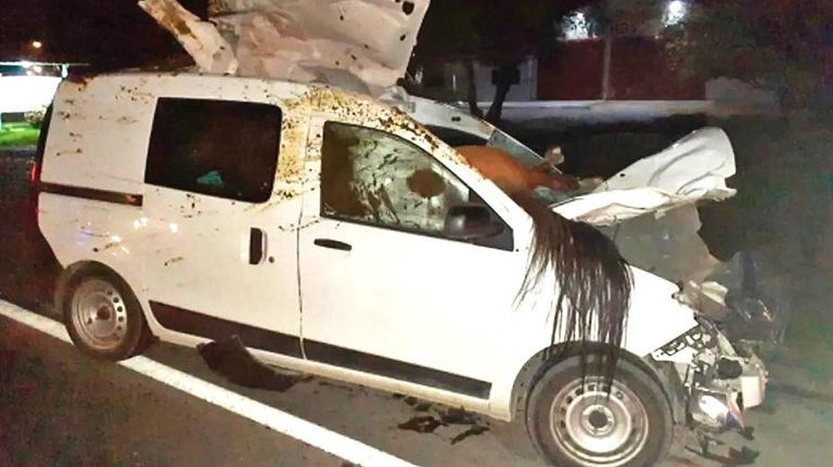 Camioneta chocó un caballo 20220413