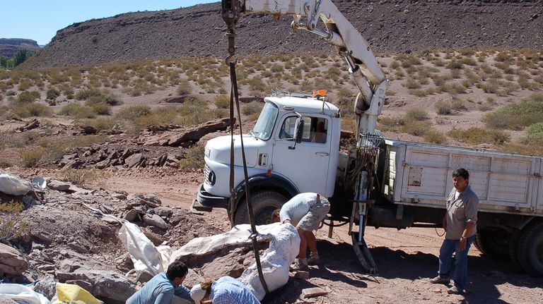 restos de dinosaros en Neuquén 11022018