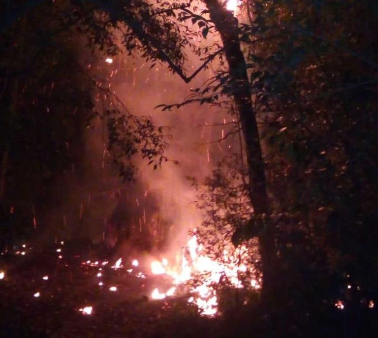 Foto del incendio de la grapia milenaria.