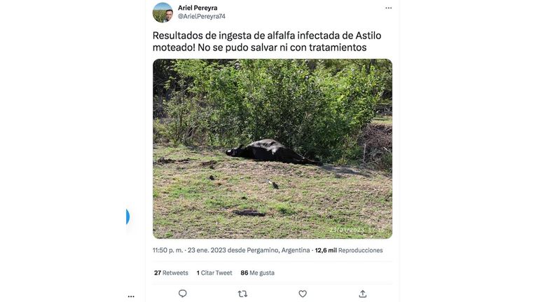Mensaje de Twitter