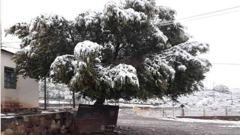 Nevada en Jujuy 20230406