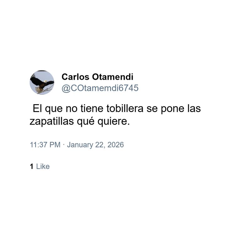 Memes sobre zapatillas de Milei 9