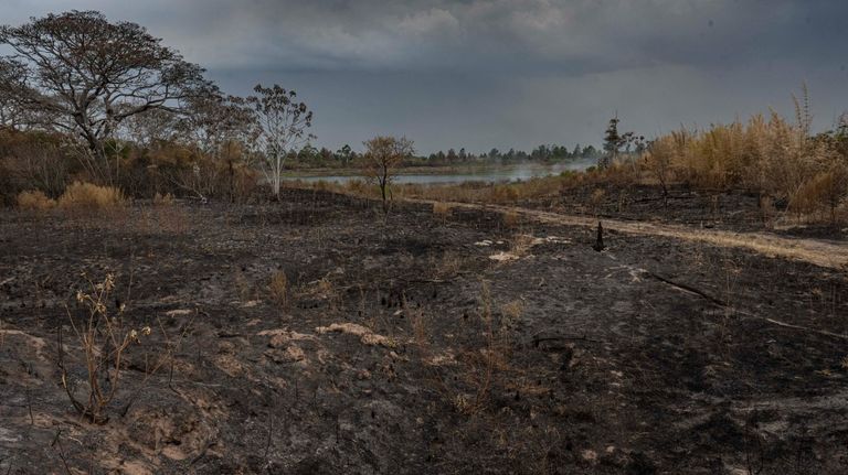 lluvia incendios corrientes g_20220225
