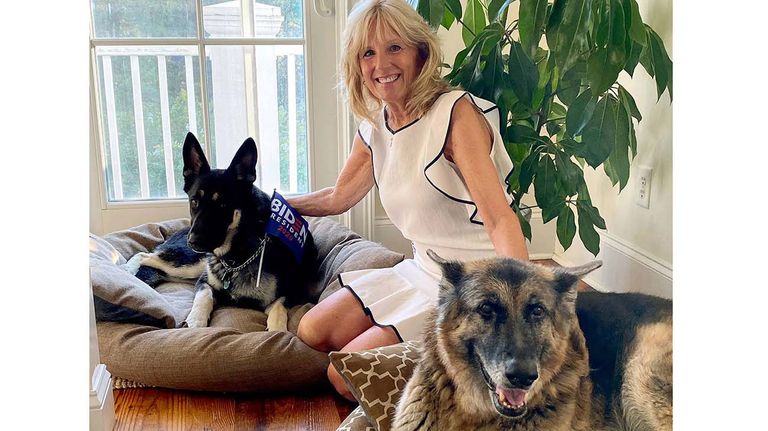 los perros de Biden
