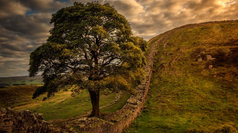 Sycamore Gap 20230928