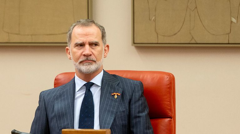 Felipe VI Rey de España