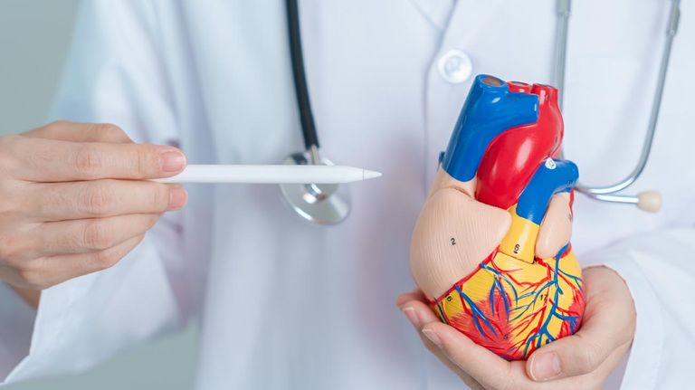 Enfermedades cardiovasculares