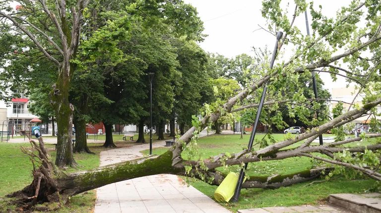 2023 12 18 Temporal La Plata