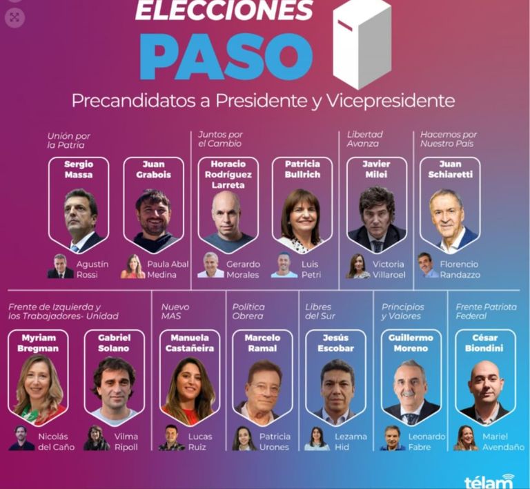 Los 13 precandidatos presidenciales para las PASO g_20230624