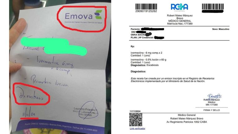 Denuncias de sarna en la Línea B