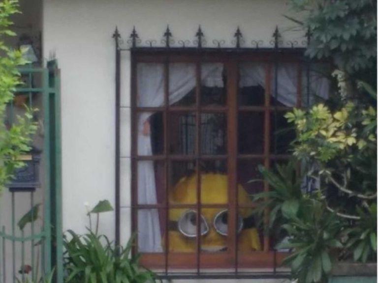 Censo de Minions en el Conurbano 20230803