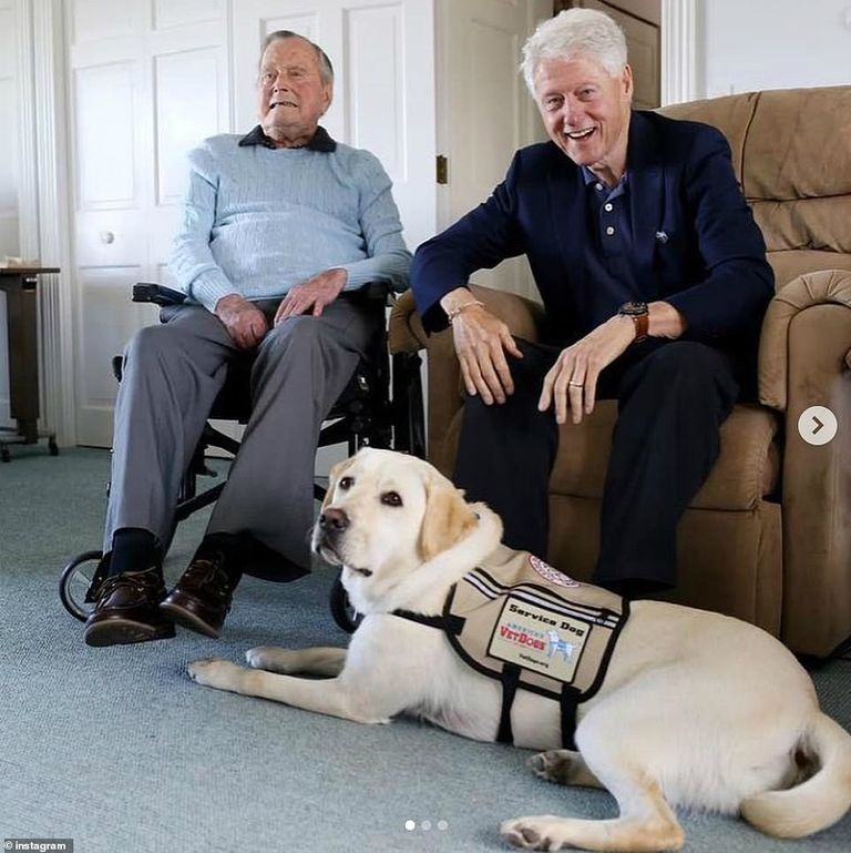 perro sully funeral george bush