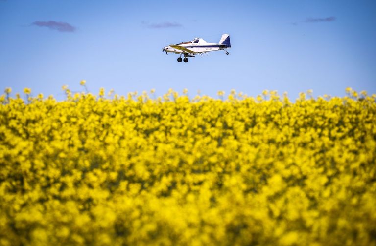 Wheat and Canola Farming as Australia set to Boost Exports