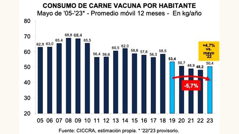 Consumo de carne vacuna mayo de 2023