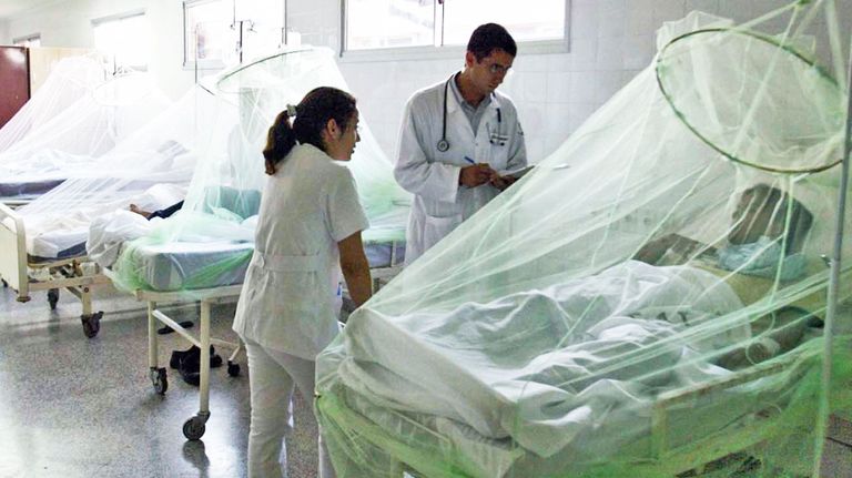 2023_04_22_dengue_cedoc_g