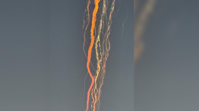 El séptimo vuelo de prueba de Starship experimentó un “fallo